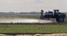 A self-propelled sprayer applies herbicide across a flat Manitoba field in early season, with weed patches visible on bare ground. Photo: Robin Booker.
