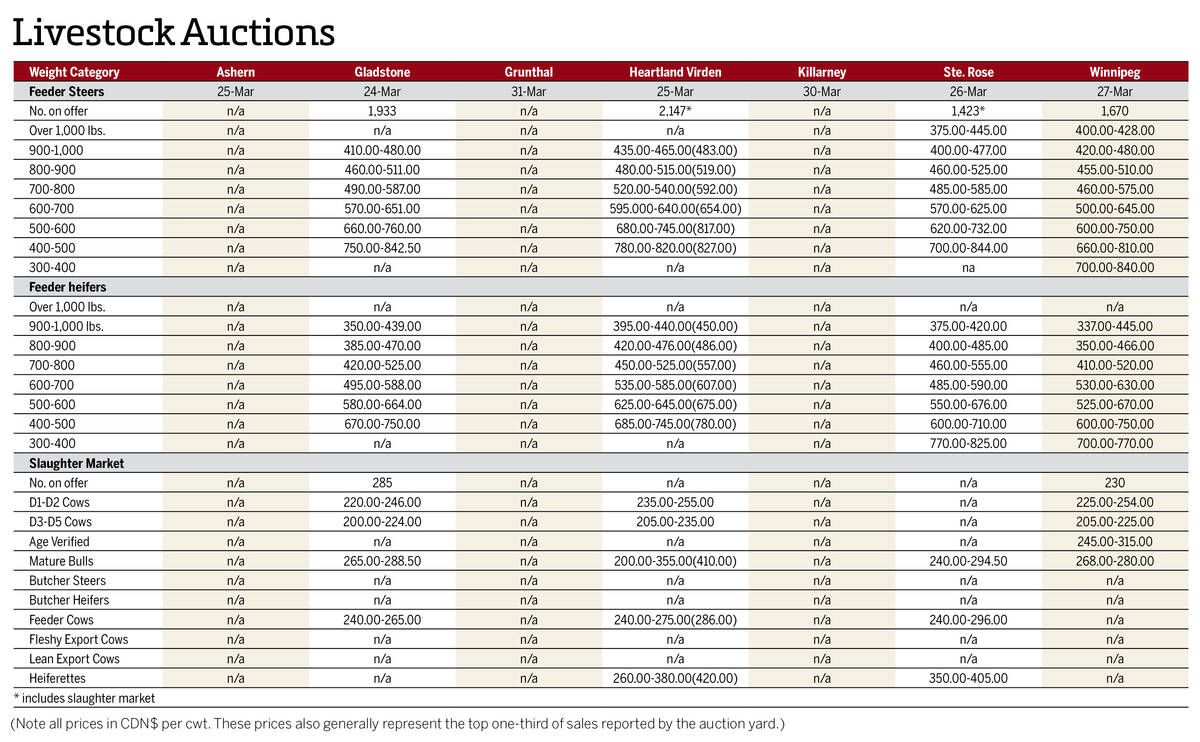 Prices from Manitoba's cattle auctions as of April 1, 2026. Latest prices from Ashern, Grunthal and Killarney are not available.