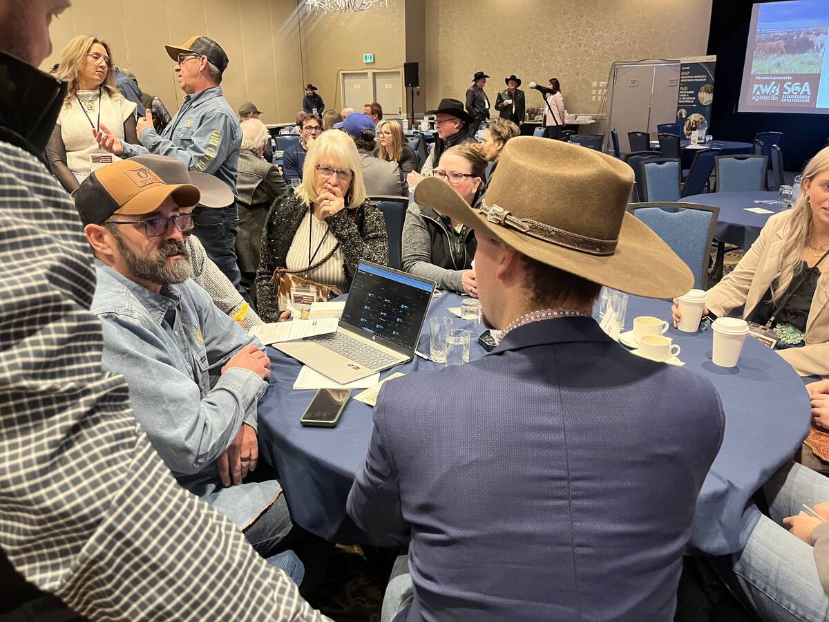 James Babcock shows a producer the dashboard for Ori Cattle and answers producer questions. Photo: Melissa Jeffers-Bezan