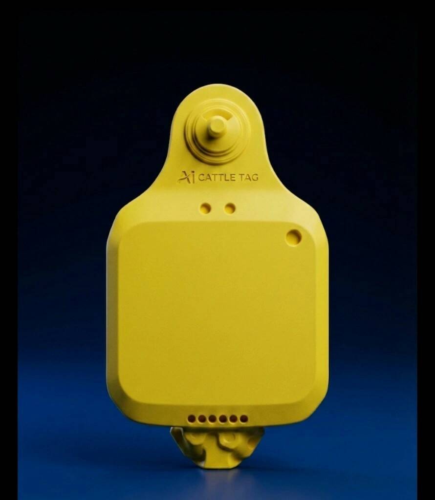 Yellow prototype of the Ori Cattle Smart AI ear tag against a dark blue background. Photo: supplied.