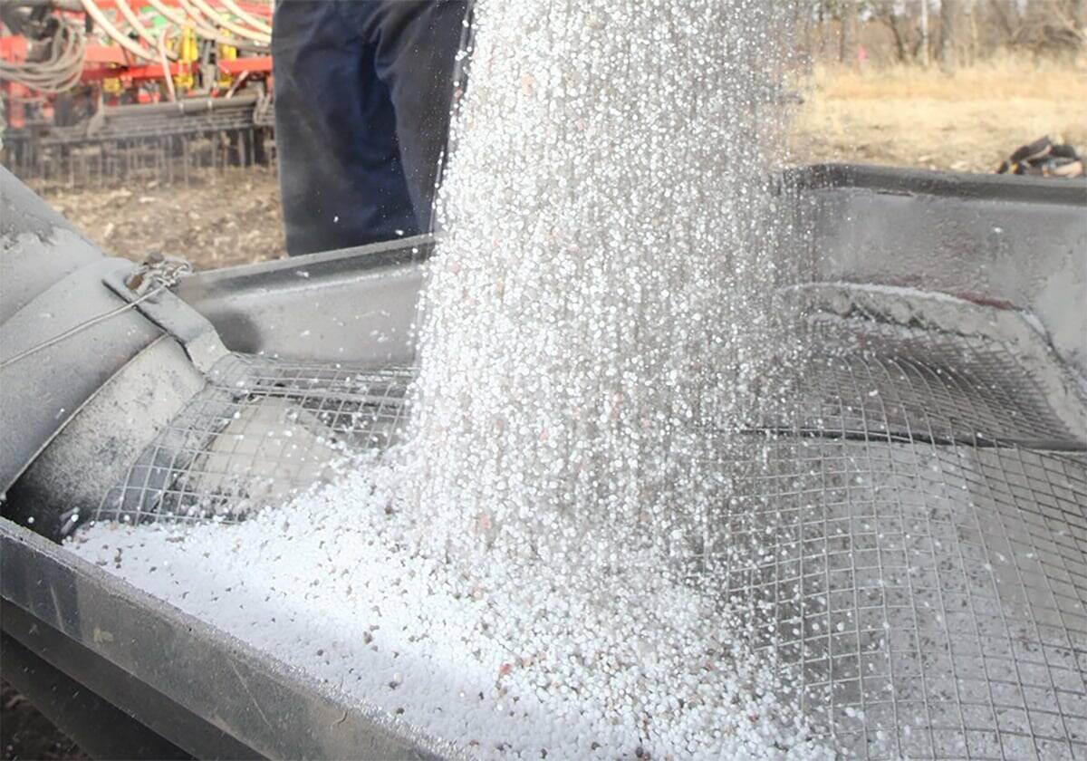White granular urea fertilizer being poured through a mesh screen into a hopper. Photo: file