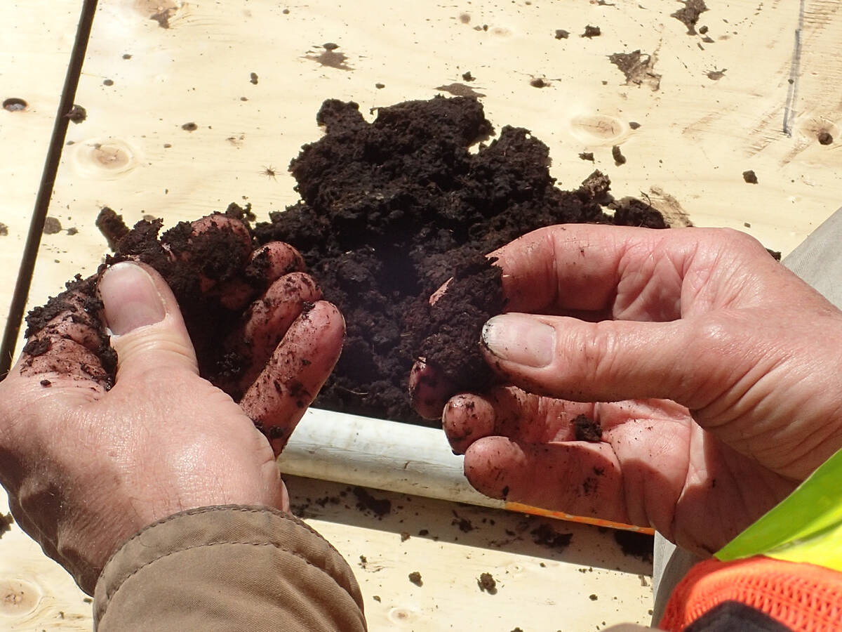 Close-up of hands holding and examining dark soil, illustrating the importance of soil testing for fertilizer efficiency and 4R nutrient management. Photo: file