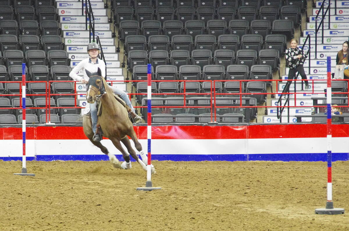Karlie Bjornson, a rider on horseback, weaves through poles in an indoor arena during competition at the Royal Manitoba Winter Fair 2026.Photo: Alexis Stockford.
