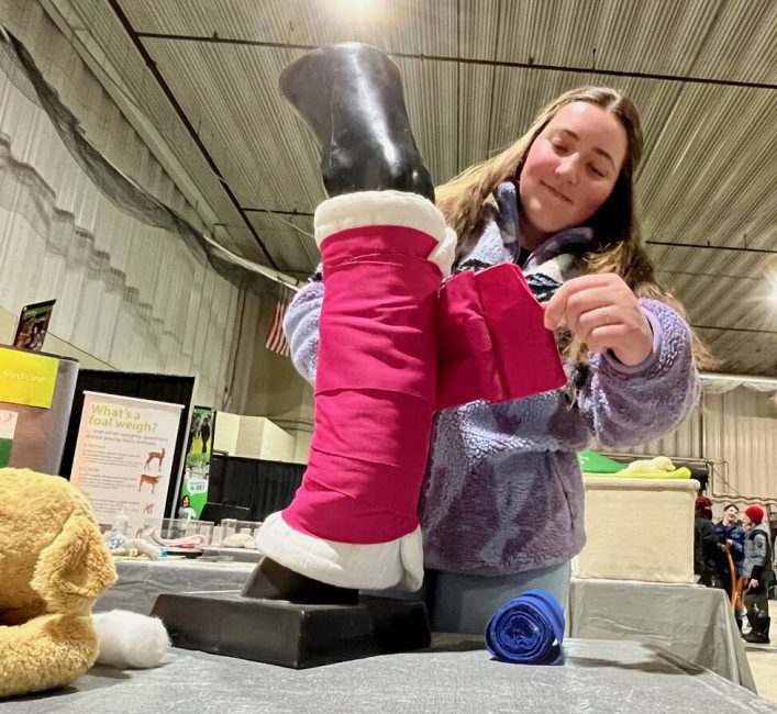 Pre-vet student Jaiden Hayward demonstrates how to wrap an equine leg injury at the Western College of Veterinary Medicine booth during the 2026 Royal Manitoba Winter Fair. Photo: Alexis Stockford.