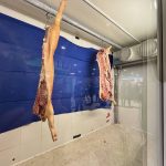 Two award-winning hog carcasses hang in a refrigerated display case at the Royal Manitoba Winter Fair in Brandon, giving visitors a look at pork before it is processed into retail cuts. Photo: Alexis Stockford