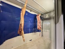Two award-winning hog carcasses hang in a refrigerated display case at the Royal Manitoba Winter Fair in Brandon, giving visitors a look at pork before it is processed into retail cuts. Photo: Alexis Stockford