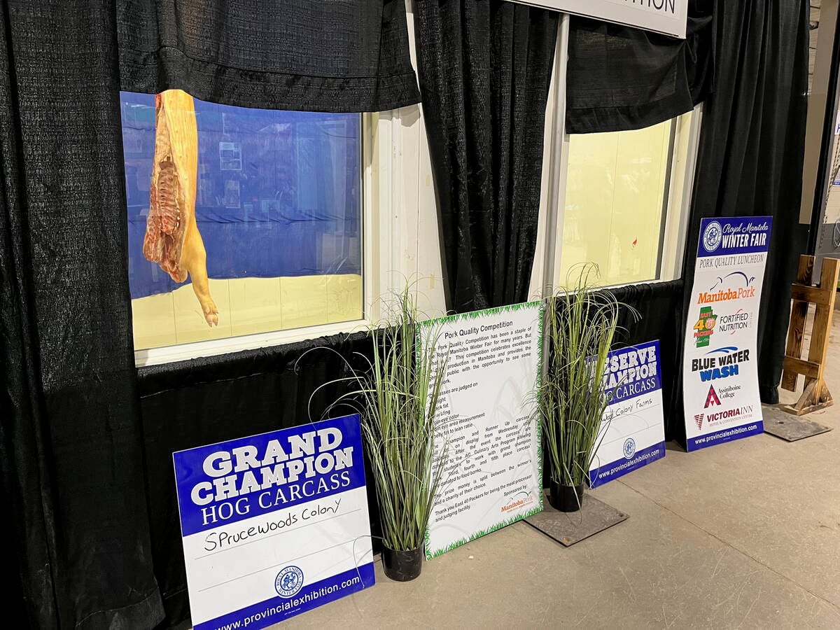 The grand champion hog carcass from Spruce Woods Colony hangs in a glass display case at the Royal Manitoba Winter Fair pork quality competition in Brandon. Sponsor banners and a Grand Champion Hog Carcass sign sit in front of the display. Photo: Alexis Stockford