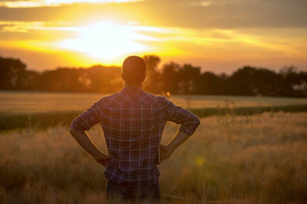 A farmer stands alone in a field at sunset, looking out over the crops with hands on hips. The warm light silhouettes the figure against a wide prairie sky. Photo: Thinkstock