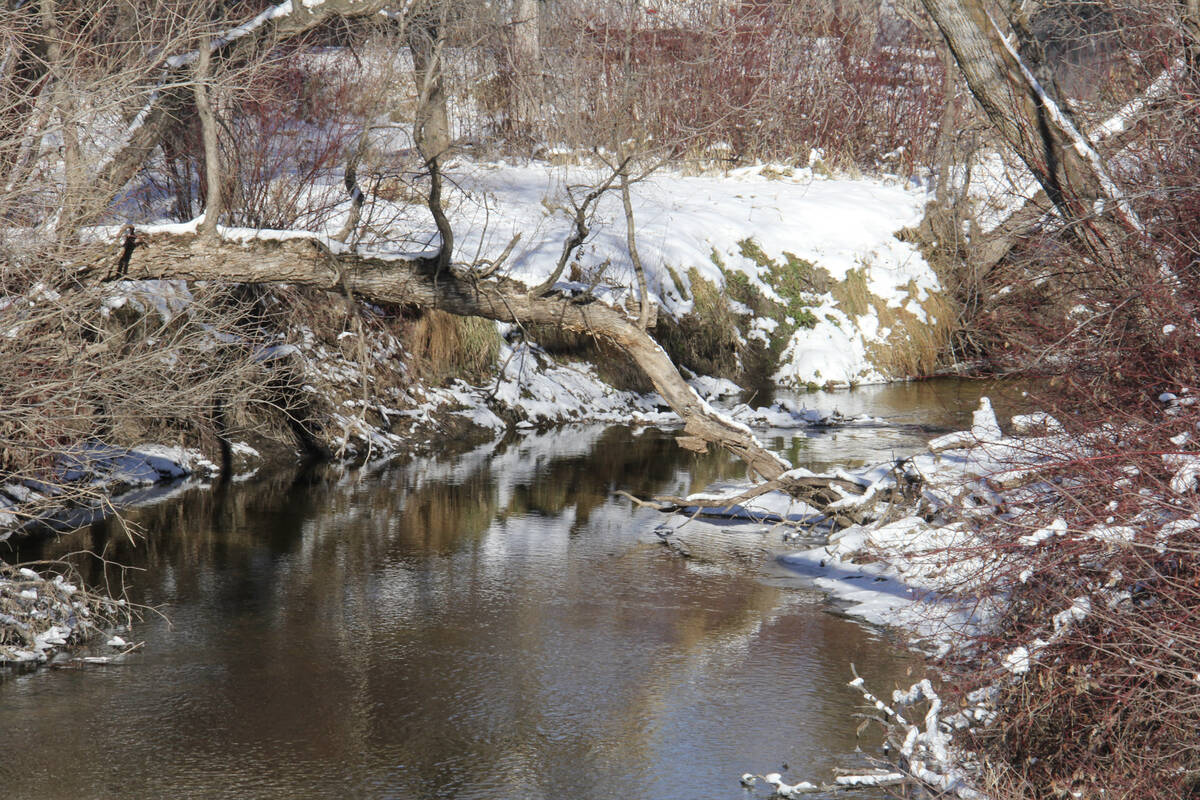 Spring is trying to arrive, but we just can’t seem to completely shake winter’s grip. Photo: Geralyn Wichers
