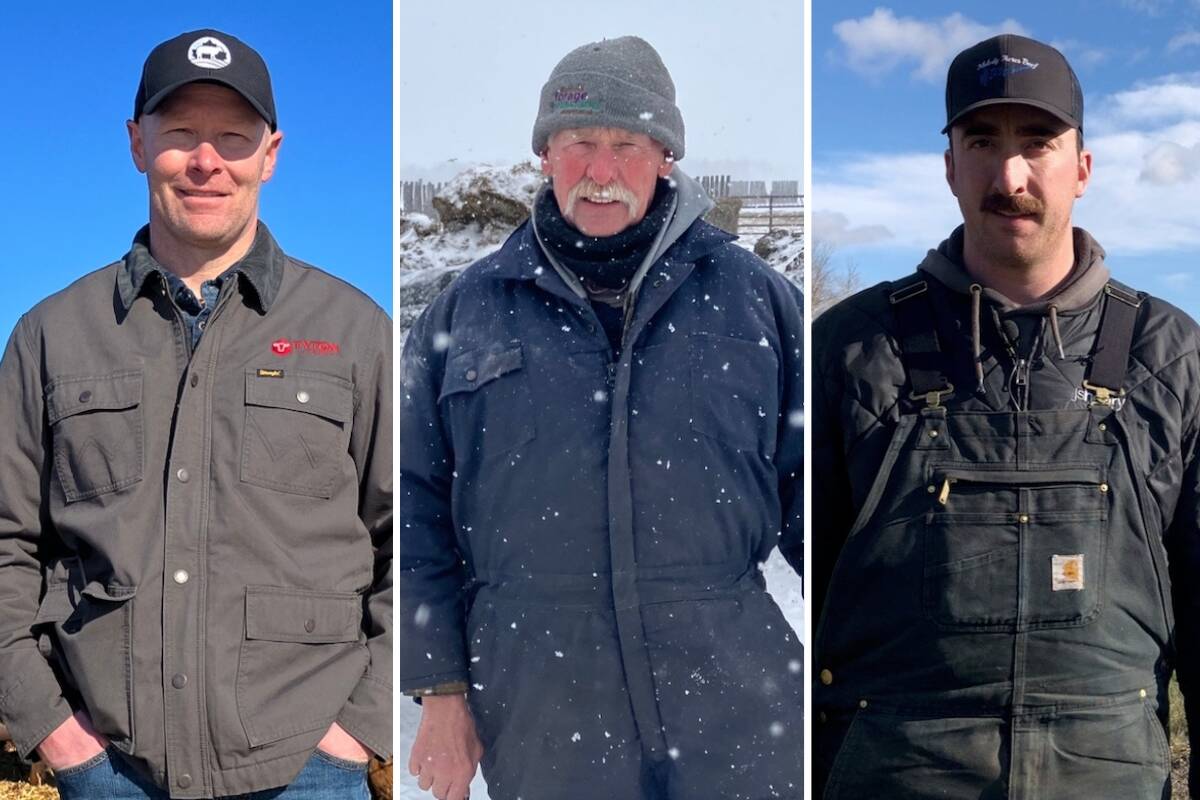 From left: Tyler Fulton, Mike Duguid and Connor English. Three Manitoba cattle ranchers all at different stages in succession plans for their family farms.  Photo: Greg Berg