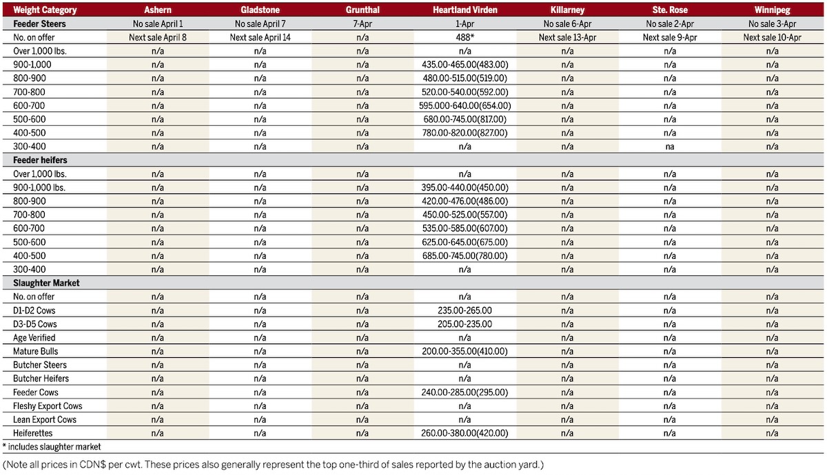 table of manitoba cattle prices at auctions for week ending april 7, 2026