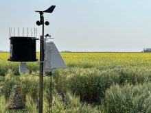 ECCC will create a new hybrid weather forecasting model, combining the predictive abilities of AI and traditional physics-based meteorology and the department&rsquo;s knowledge of local factors for wind, temperature and precipitation. Photo: Don Norman
