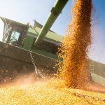 The USDA released its latest supply and demand estimates in April 9, 2026, with very few changes from its March report. Photo: Getty Images Plus
