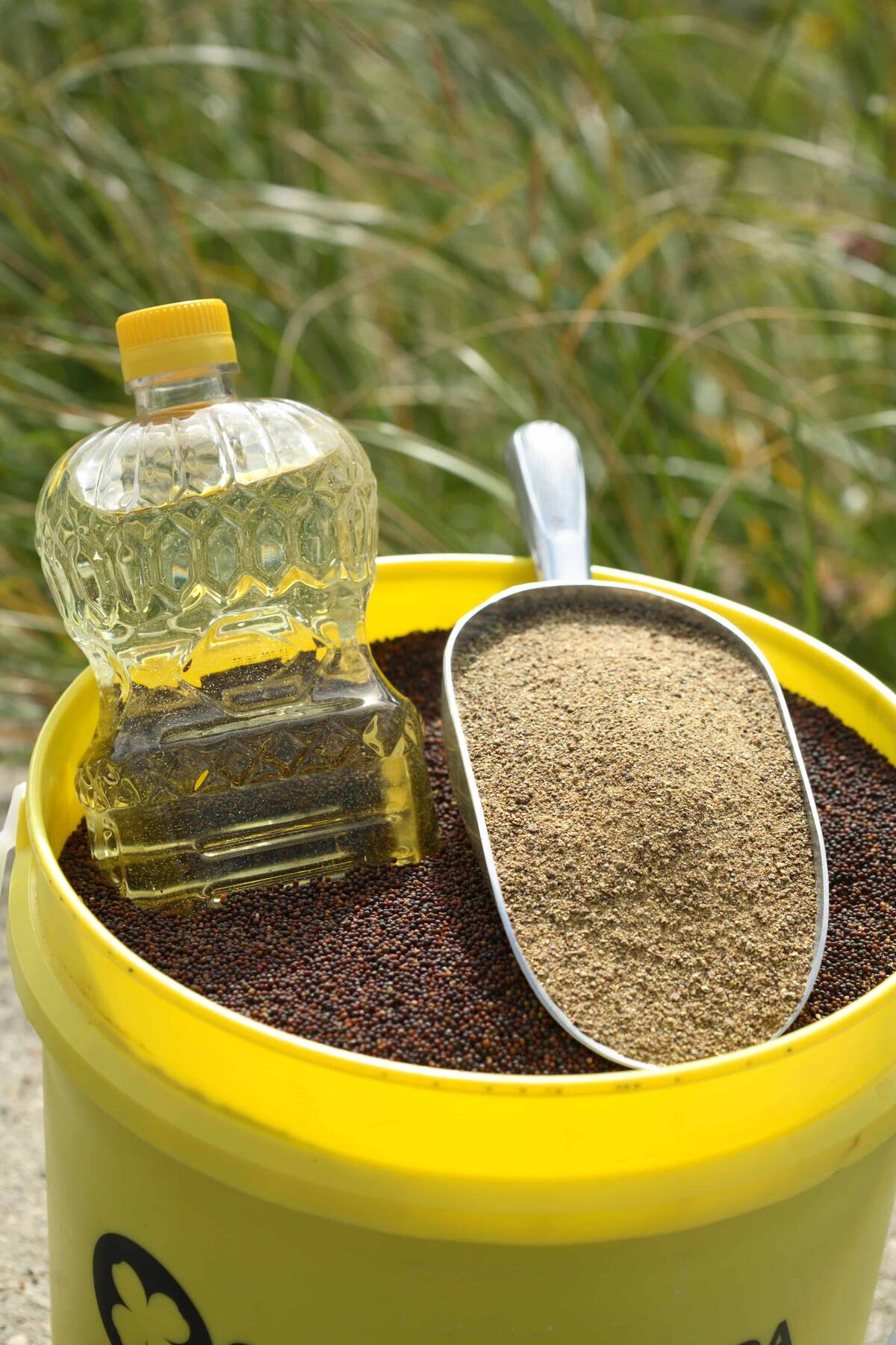A bottle of canola oil and a scoop of canola meal rest on top of a yellow bucket filled with canola seed, with tall grass in the background. The U.S. is the largest market for Canadian canola oil and meal, and industry leaders are watching the CUSMA review closely. Photo: Canola Council of Canada image