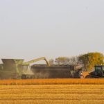 Why the price gap against western Canadian soybeans?