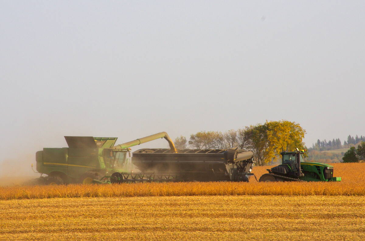 A John Deere combine and grain cart setup harvests soybeans in western Manitoba near Neepawa on Sept. 28, 2025. Photo: Alexis Stockford.