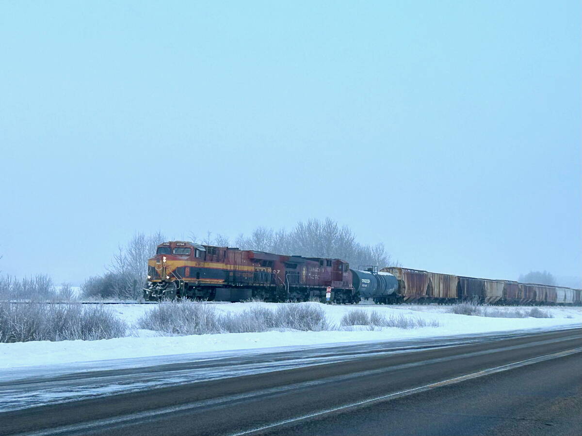 A freight train with grain cars moving through a still-wintry western Manitoba landscape in early March 2026, with snow on the ground and frost on bare trees along the highway. Photo: Alexis Stockford