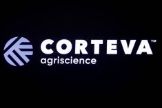 In October last year, Corteva said it would separate its seed and pesticide businesses into separate listed companies to sharpen its strategic focus. Photo: REUTERS/Brendan McDermid
