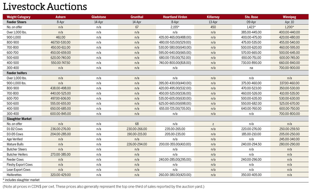 Table showing Manitoba cattle auction prices for the week of April 8–14, covering feeder steers, feeder heifers and slaughter market categories across seven auction locations.