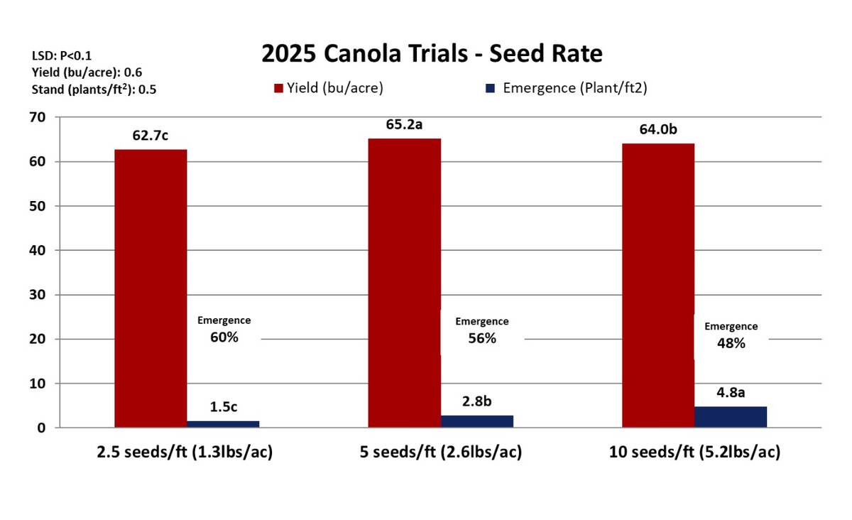 Bar chart showing 2025 Bourgault canola trial results comparing yield and emergence across seeding rates of 2.5, five and 10 seeds per square foot, with yields of 62.7, 65.2 and 64.0 bushels per acre respectively. Graph: Bourgault
