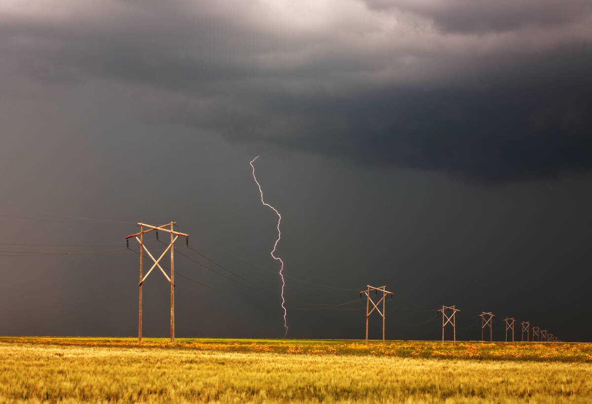 A lightning bolt strikes near a row of wooden power line poles crossing a golden Prairie field under a dark storm sky. Photo: Bobloblaw/iStock/Getty Images