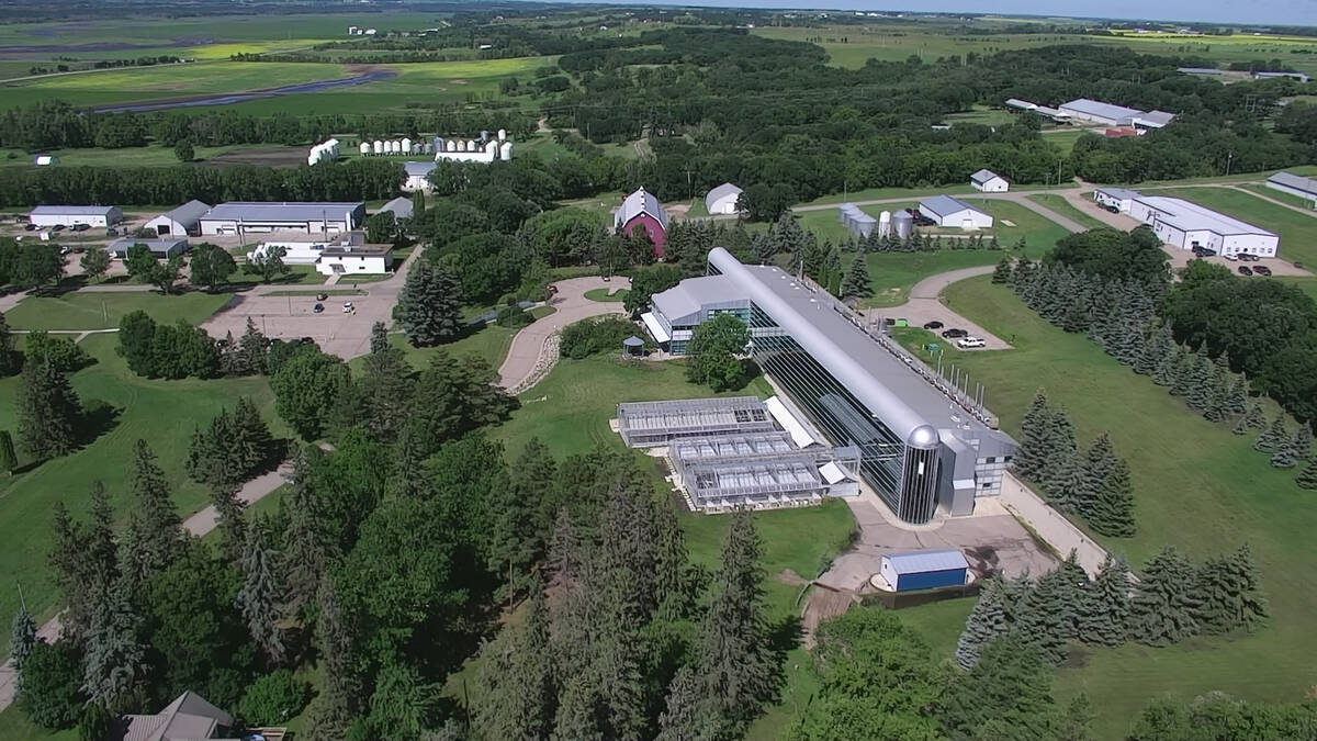 Aerial view of the Agriculture and Agri-Food Canada Brandon Research Centre, showing research buildings, greenhouses and surrounding Prairie farmland in summer. Photo: AAFC.
