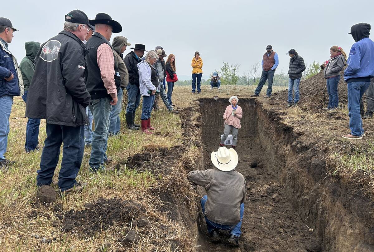 Yamily Zavala speaks to a group gathered around a soil pit near Paradise Hill, Sask., during an August 2025 field day on soil health. Photo: Lisa Guenther